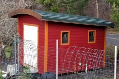 20210117_155950-scaled