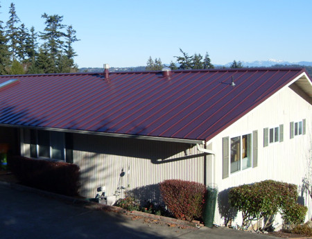 Purple metal roof | Metal roof, Curb appeal